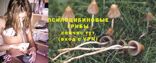 твердый Белокуриха