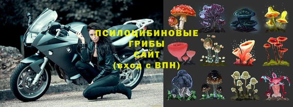 твердый Белокуриха