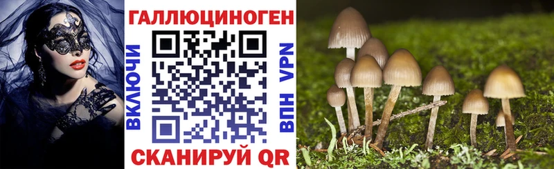 Псилоцибиновые грибы Psilocybe Гороховец