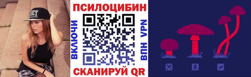 Галлюциногенные грибы Psilocybe где найти наркотики Гороховец